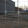 Cattle Fence-Hot Dipped Galvanized Kraal Network